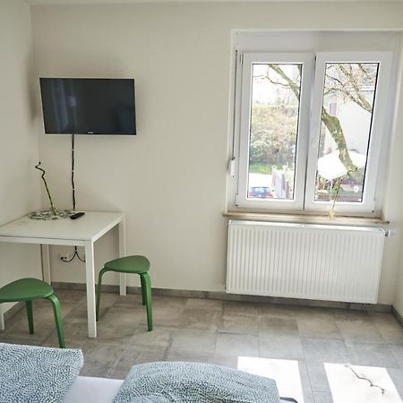 Greenhome Loerrach -Ihre Unterkunft Im 3-Laendereck- エクステリア 写真