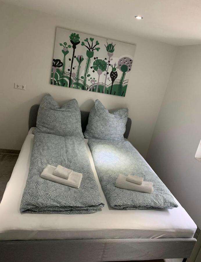 Greenhome Loerrach -Ihre Unterkunft Im 3-Laendereck- 部屋 写真