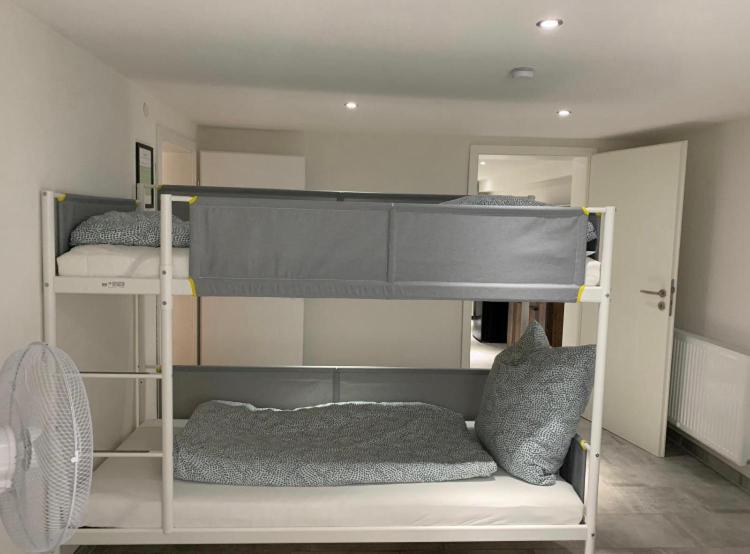 Greenhome Loerrach -Ihre Unterkunft Im 3-Laendereck- エクステリア 写真