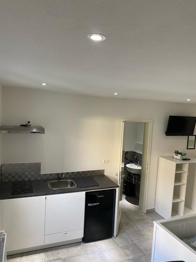 Greenhome Loerrach -Ihre Unterkunft Im 3-Laendereck- エクステリア 写真