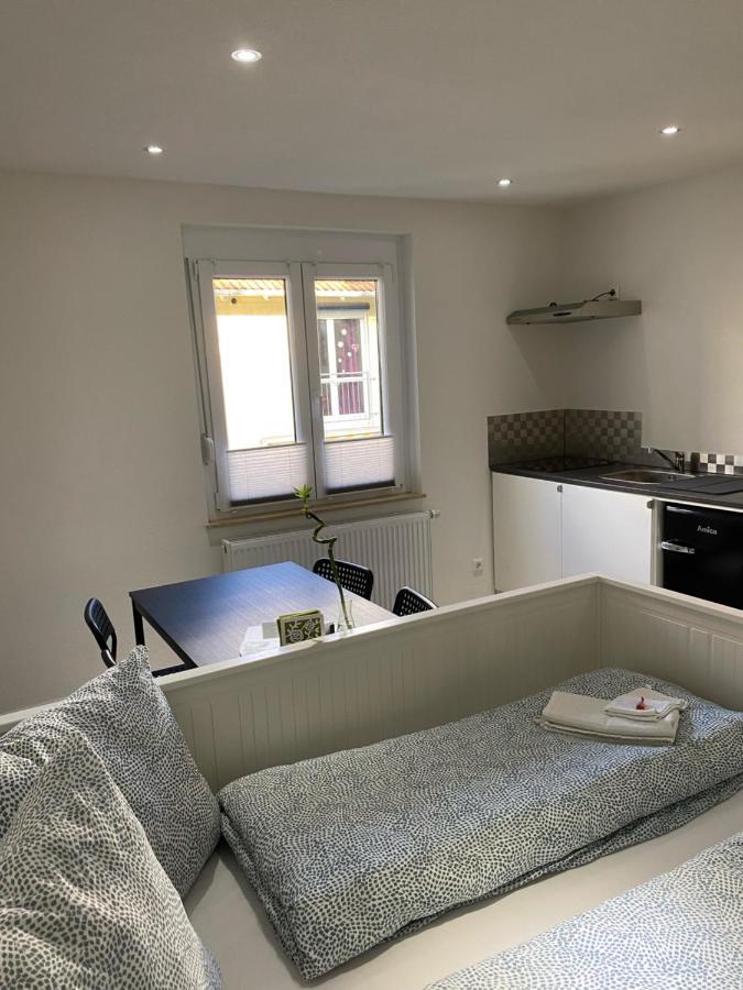 Greenhome Loerrach -Ihre Unterkunft Im 3-Laendereck- エクステリア 写真