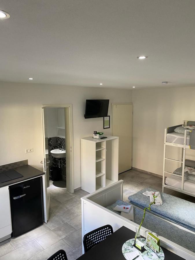 Greenhome Loerrach -Ihre Unterkunft Im 3-Laendereck- エクステリア 写真
